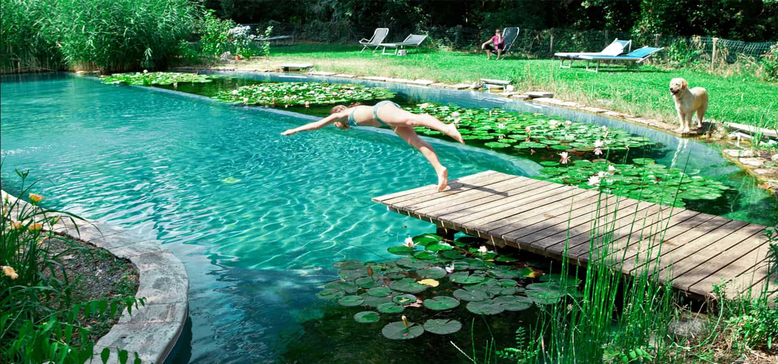 9 Tips Tricks For Building Out Your Own Diy Natural Swimming Pool