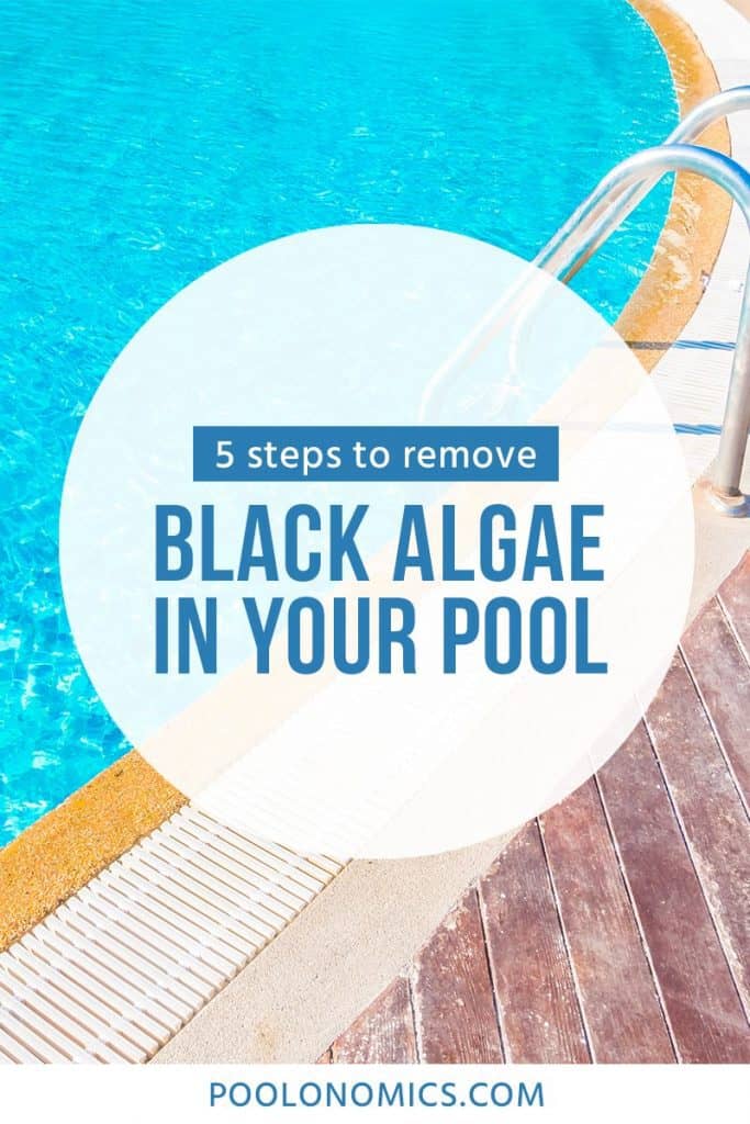 In this article we’ll cover what black algae is, what it looks like, why you need to get rid of it quick-sharp, how it differs from other forms of algae, and 5 steps to remove it from your pool. #poolonomics #swimmingpool  #poolcleaning
