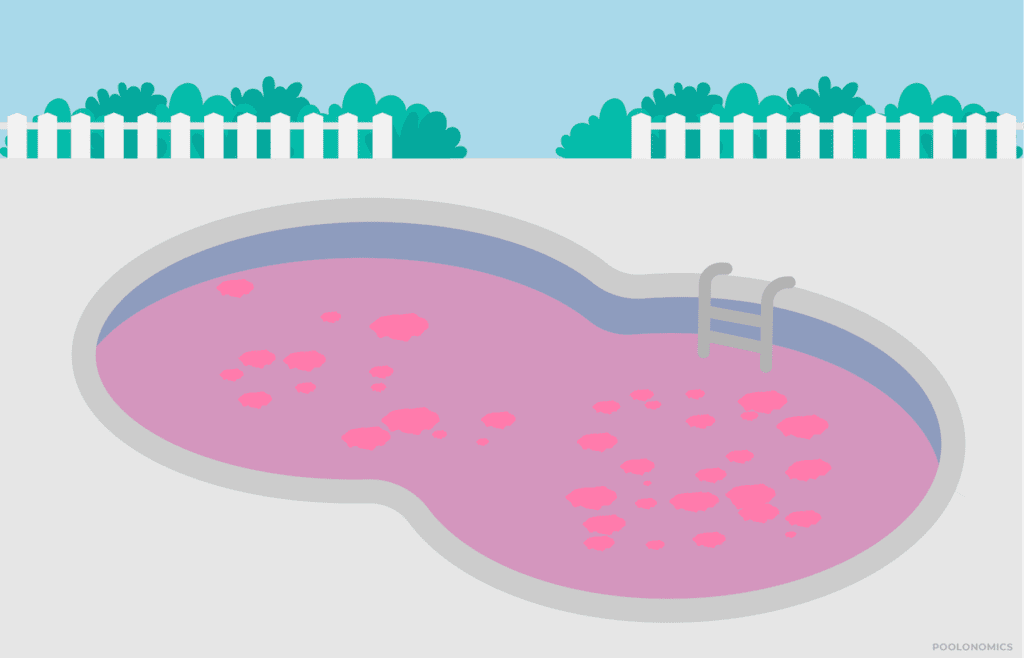 pink slime in pool